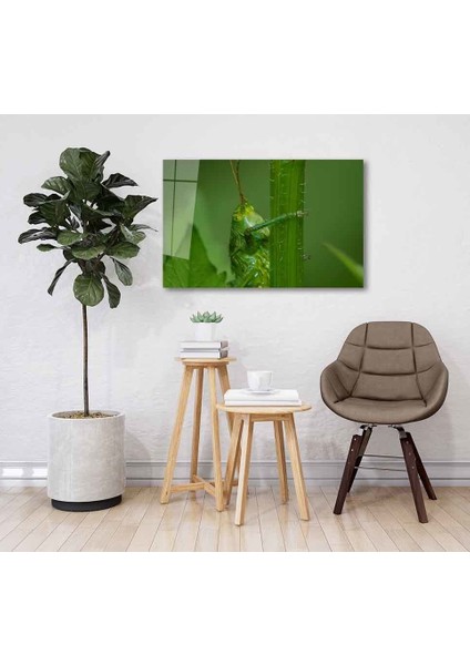 Yeşil Cam Tablo 4mm Dayanıklı Temperli Cam fiyatları