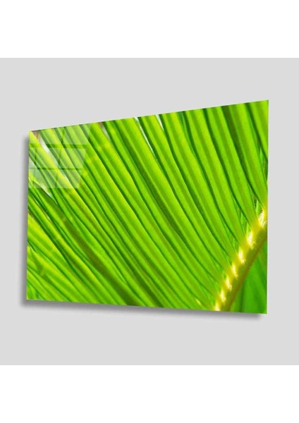 Yeşil Cam Tablo 4mm Dayanıklı Temperli Cam