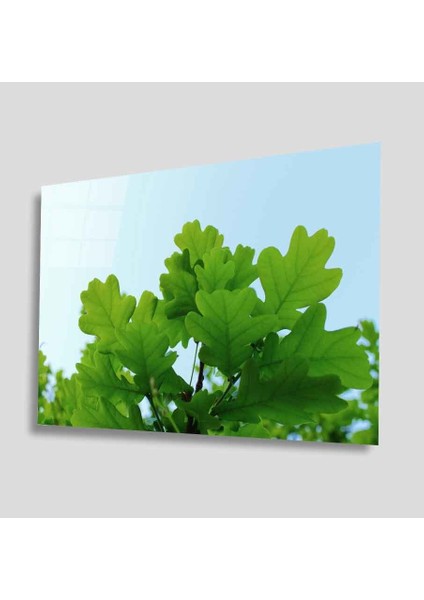 Yeşil Cam Tablo 4mm Dayanıklı Temperli Cam