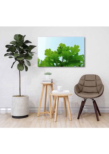 Yeşil Cam Tablo 4mm Dayanıklı Temperli Cam fiyatları