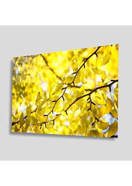 Yeşil Cam Tablo 4mm Dayanıklı Temperli Cam