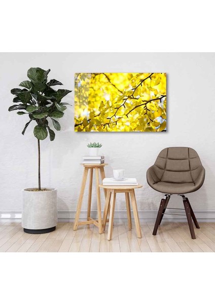 Yeşil Cam Tablo 4mm Dayanıklı Temperli Cam fiyatları