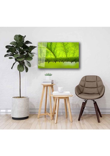 Yeşil Cam Tablo 4mm Dayanıklı Temperli Cam fiyatları