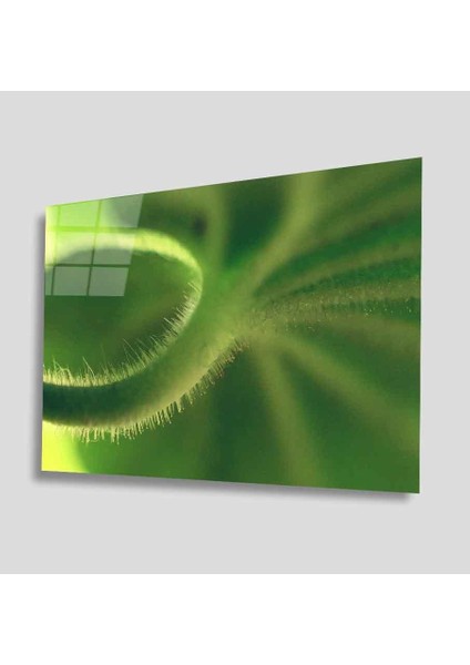 Yeşil Cam Tablo 4mm Dayanıklı Temperli Cam