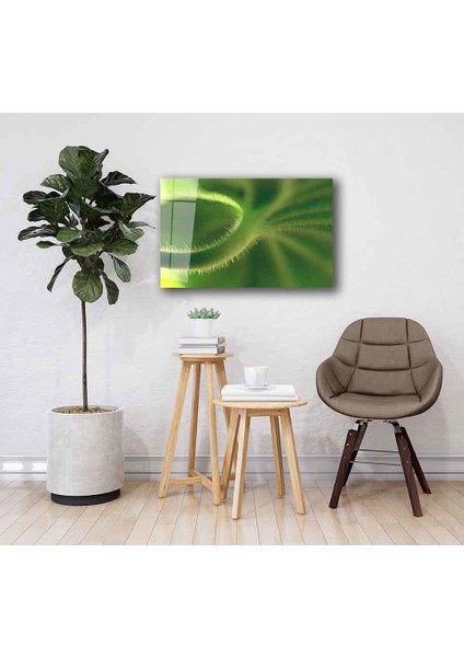 Yeşil Cam Tablo 4mm Dayanıklı Temperli Cam fiyatları