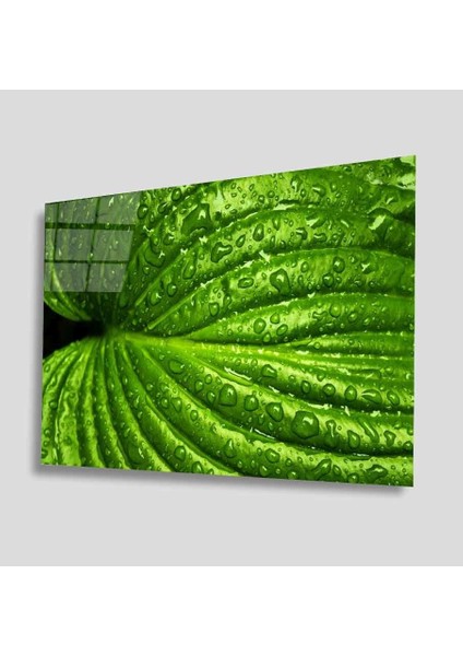 Yeşil Cam Tablo 4mm Dayanıklı Temperli Cam