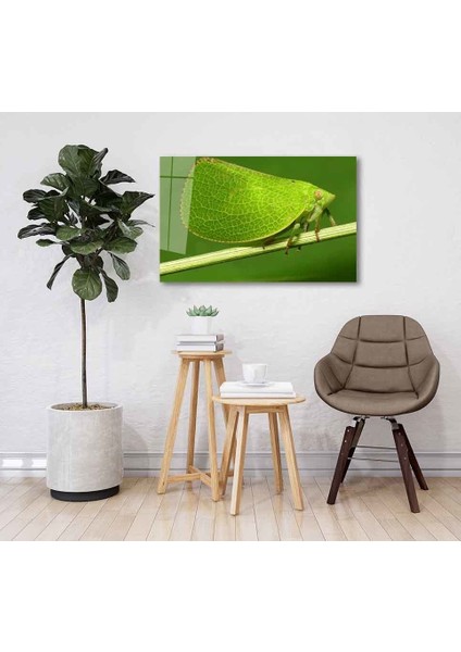 Yeşil Cam Tablo 4mm Dayanıklı Temperli Cam fiyatları