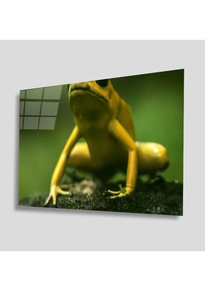 Yeşil Cam Tablo 4mm Dayanıklı Temperli Cam