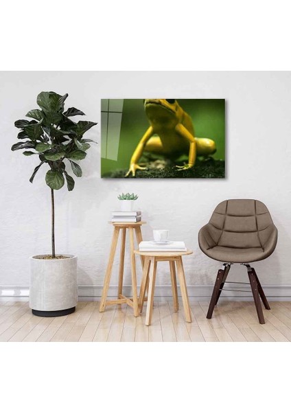 Yeşil Cam Tablo 4mm Dayanıklı Temperli Cam fiyatları