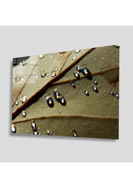 Yeşil Cam Tablo 4mm Dayanıklı Temperli Cam