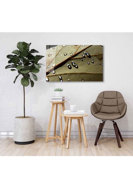 Yeşil Cam Tablo 4mm Dayanıklı Temperli Cam fiyatları