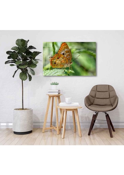 Yeşil Cam Tablo 4mm Dayanıklı Temperli Cam fiyatları