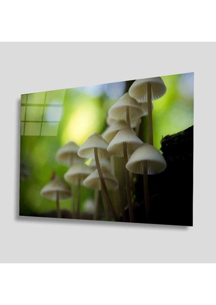 Yeşil Cam Tablo 4mm Dayanıklı Temperli Cam