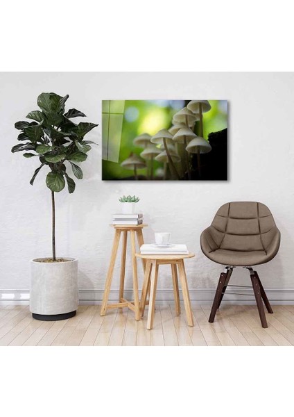 Yeşil Cam Tablo 4mm Dayanıklı Temperli Cam fiyatları