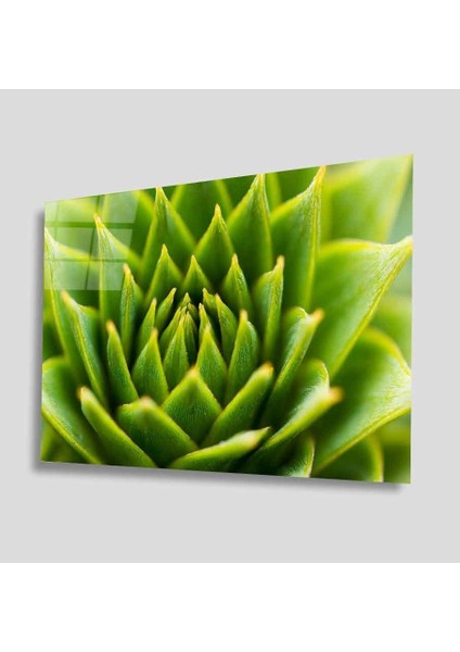 Yeşil Cam Tablo 4mm Dayanıklı Temperli Cam