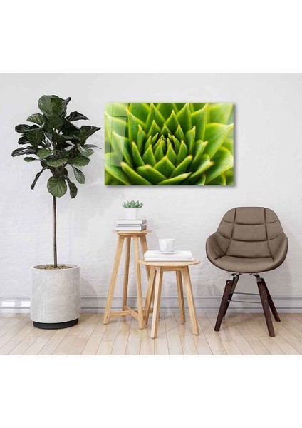 Yeşil Cam Tablo 4mm Dayanıklı Temperli Cam fiyatları