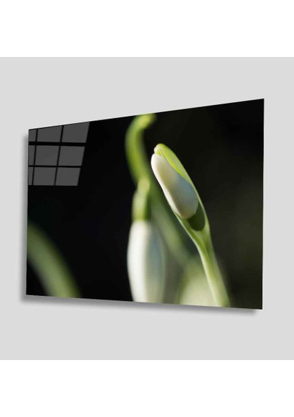 Yeşil Cam Tablo 4mm Dayanıklı Temperli Cam