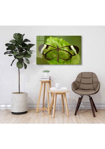 Yeşil Cam Tablo 4mm Dayanıklı Temperli Cam fiyatları