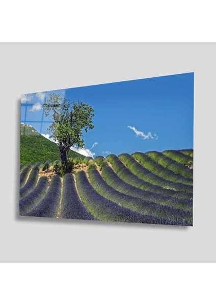 Yeşil Cam Tablo 4mm Dayanıklı Temperli Cam