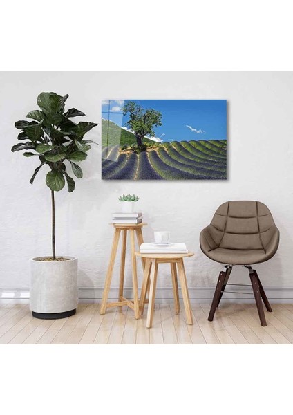 Yeşil Cam Tablo 4mm Dayanıklı Temperli Cam fiyatları