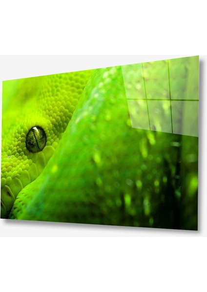 Yeşil Cam Tablo 4mm Dayanıklı Temperli Cam