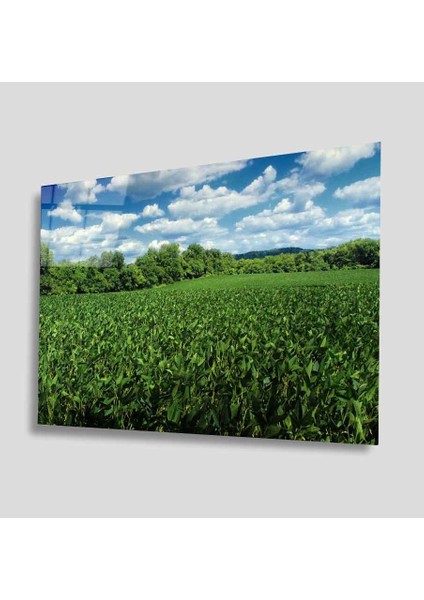 Yeşil Cam Tablo 4mm Dayanıklı Temperli Cam