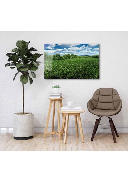 Yeşil Cam Tablo 4mm Dayanıklı Temperli Cam fiyatları