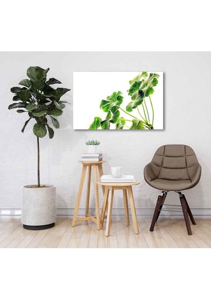 Yeşil Cam Tablo 4mm Dayanıklı Temperli Cam fiyatları