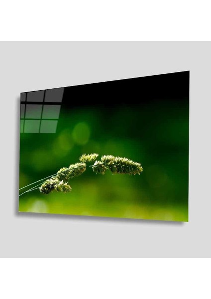 Yeşil Cam Tablo 4mm Dayanıklı Temperli Cam