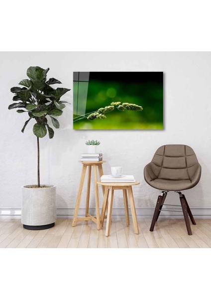 Yeşil Cam Tablo 4mm Dayanıklı Temperli Cam fiyatları