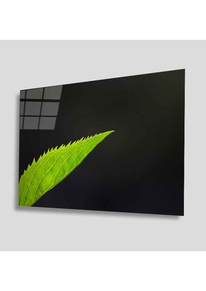 Yeşil Cam Tablo 4mm Dayanıklı Temperli Cam