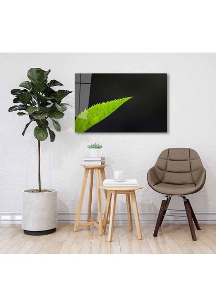 Yeşil Cam Tablo 4mm Dayanıklı Temperli Cam fiyatları