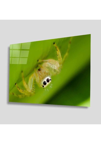 Yeşil Cam Tablo 4mm Dayanıklı Temperli Cam