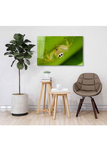 Yeşil Cam Tablo 4mm Dayanıklı Temperli Cam fiyatları