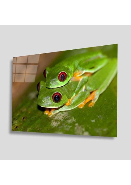 Yeşil Cam Tablo 4mm Dayanıklı Temperli Cam