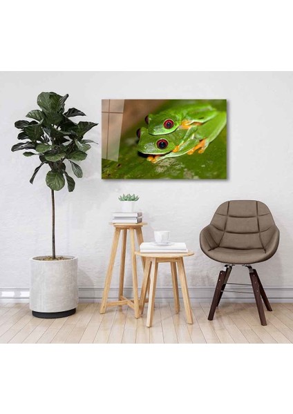 Yeşil Cam Tablo 4mm Dayanıklı Temperli Cam fiyatları