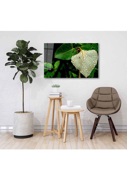 Yeşil Cam Tablo 4mm Dayanıklı Temperli Cam fiyatları