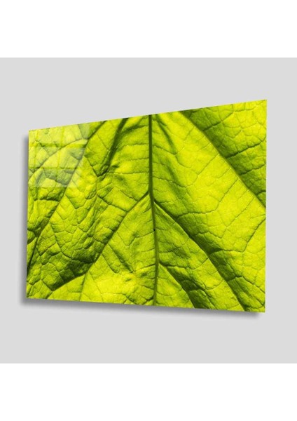 Yeşil Cam Tablo 4mm Dayanıklı Temperli Cam