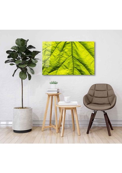 Yeşil Cam Tablo 4mm Dayanıklı Temperli Cam fiyatları