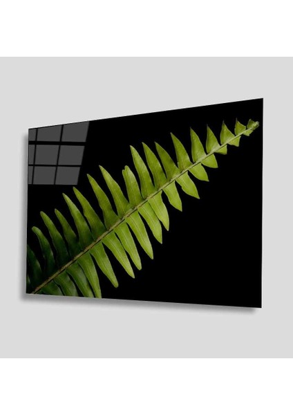 Yeşil Cam Tablo 4mm Dayanıklı Temperli Cam