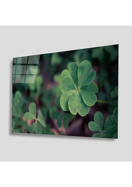 Yeşil Cam Tablo 4mm Dayanıklı Temperli Cam