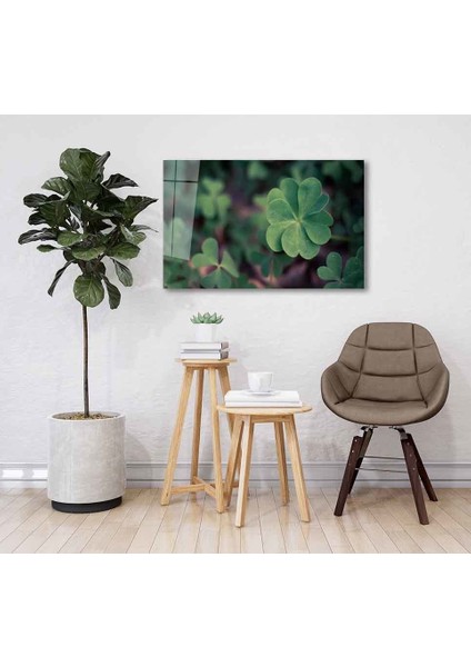 Yeşil Cam Tablo 4mm Dayanıklı Temperli Cam fiyatları