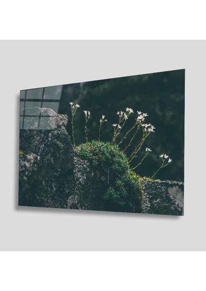 Yeşil Cam Tablo 4mm Dayanıklı Temperli Cam