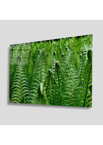 Yeşil Cam Tablo 4mm Dayanıklı Temperli Cam