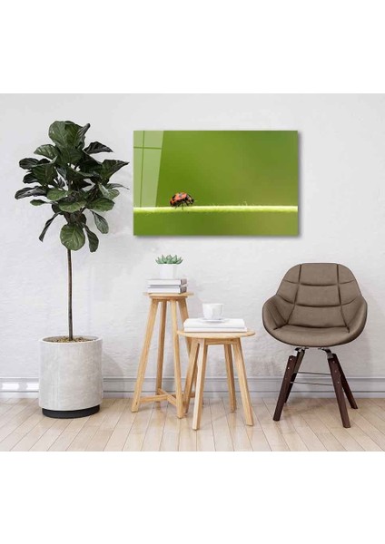 Yeşil Cam Tablo 4mm Dayanıklı Temperli Cam fiyatları