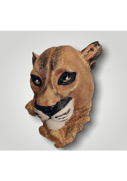 Polyester Puma Kafası Duvar Süsü modelleri