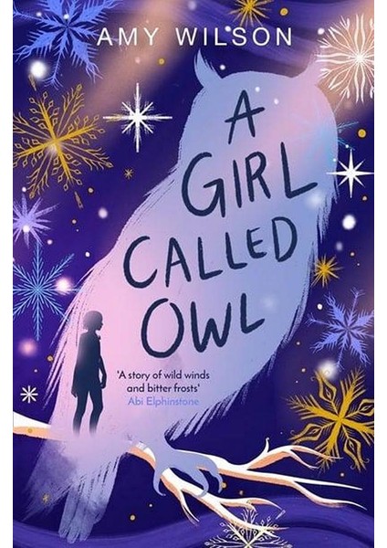 A Girl Called Owl - Amy Wilson