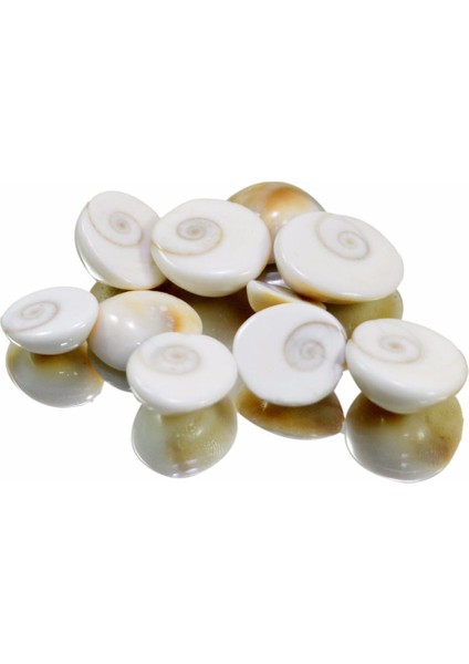 Yılancık Taşı (Erkek) 124 Adet fiyatları