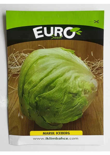 Iceberg Marul Tohumu