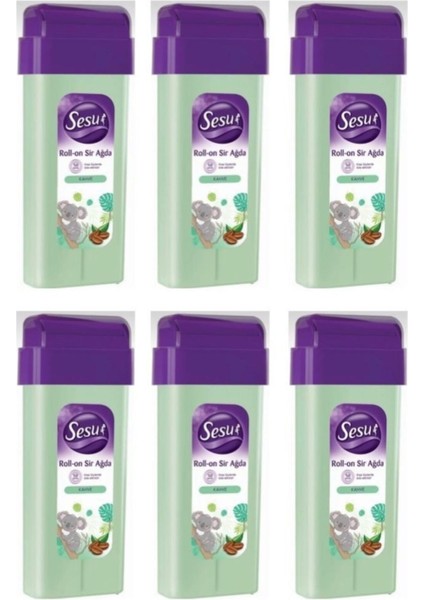 Roll-On Ağda Kahve 100ML X6 Adet